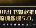小红书爆款推广引流训练课5.0，手把手带你玩转小红书（17节实操视频+话术）-第一资源库