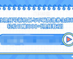 视频号新机制与不刷赞撸养生茶玩法,轻松日赚1000+-第一资源库