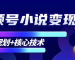 柚子微信视频号小说变现项目，全新玩法零基础也能月入10000+【核心技术】-第一资源库