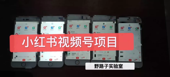 野路子小红书视频号1.0项目,直接上手操作就能赚钱的视频号项目-第一资源库