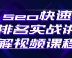 seo快速排名实战讲解视频课程，揭秘seo快排原理-第一资源库