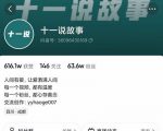 十一说故事·故事性中视频,观众快速共鸣从而快速变现的中视频玩法-第一资源库