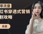 苏歆:小红书穿透式营销收割攻略,引爆流量,助你玩转小红书-第一资源库
