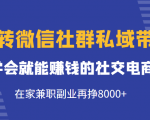 玩转微信社群私域带货，学会就能赚钱的社交电商，在家兼职副业再挣8000+-第一资源库