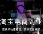 蓝Sir派·淘宝短视频快速起店,替代传统搜索方式,学会做一个不一样的淘宝店-第一资源库