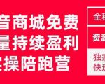 抖音商城搜索持续盈利陪跑成长营,抖音商城搜索从0-1、从1到10的全面解决方案-第一资源库