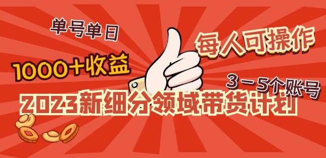 2023新细分领域带货计划:单号单日1000+收益不难,每人可操作3-5个账号-第一资源库