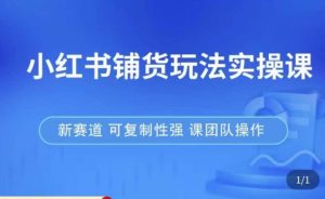小红书铺货玩法实操课，流量大，竞争小，非常好做，新赛道，可复制性强，可团队操作-第一资源库