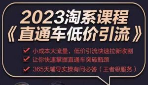 2023直通车低价引流玩法课程，小成本大流量，低价引流快速拉新收割，让你快速掌握直通车突破瓶颈-第一资源库