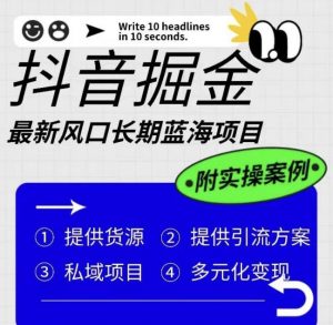 抖音掘金最新风口,长期蓝海项目,日入无上限(附实操案例)【揭秘】-第一资源库