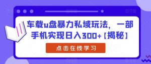 车载u盘暴力私域玩法，一部手机实现日入300+【揭秘】-第一资源库