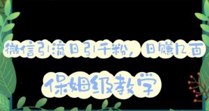 微信互推圈半自动引流方案，矩阵操作日引千人思路【详细视频教程】-第一资源库