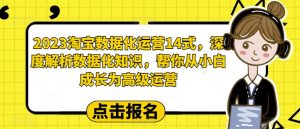 2023淘宝数据化运营14式,深度解析数据化知识,帮你从小白成长为高级运营-第一资源库