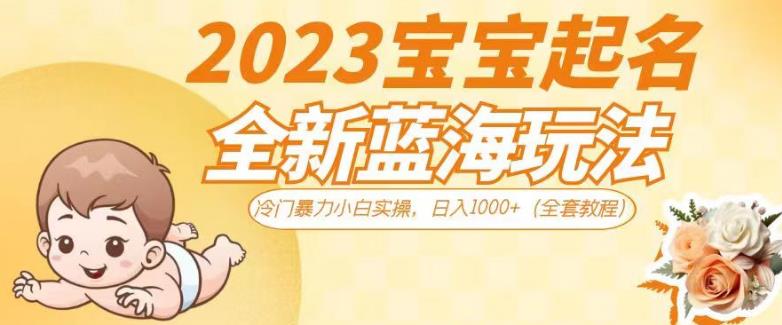 2023宝宝起名全新蓝海玩法,冷门暴力小白实操,日入1000+(全套教程)【揭秘】-第一资源库