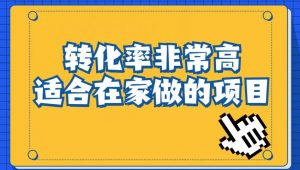 小红书虚拟电商项目：从小白到精英（视频课程+交付手册）-第一资源库