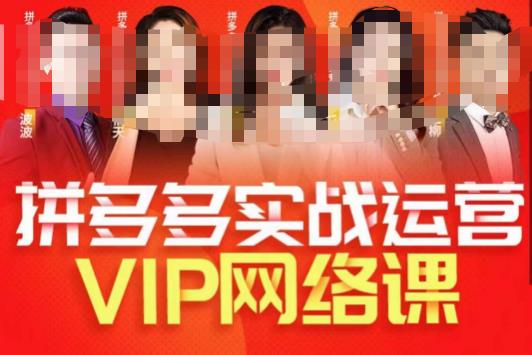 推易拼多多VIP全套直播课程,拼多多店铺实操玩法+实战玩法选款内功+直通车高阶等-第一资源库