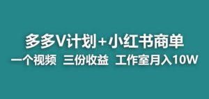 【蓝海项目】多多v计划+小红书商单一个视频三份收益工作室月入10w-第一资源库