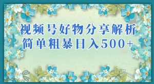 视频号好物分享解析，简单粗暴可以批量方大的项目【揭秘】-第一资源库