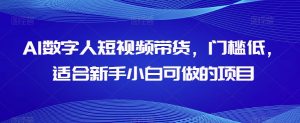 AI数字人短视频带货,门槛低,适合新手小白可做的项目-第一资源库
