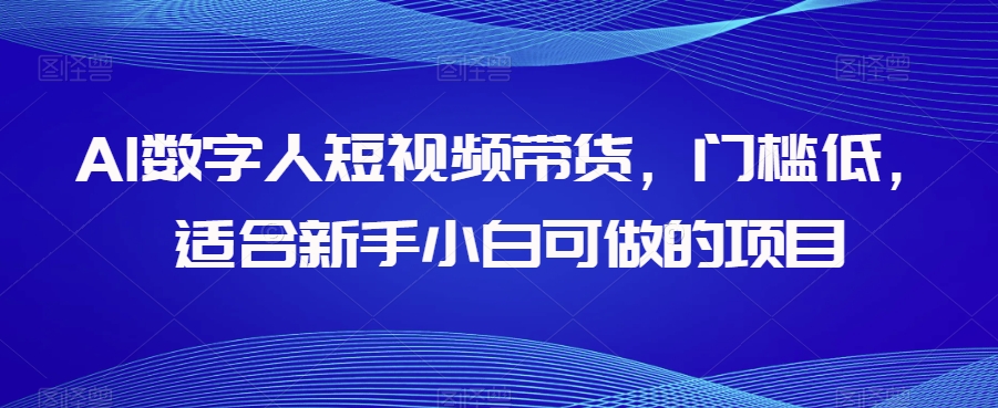 AI数字人短视频带货,门槛低,适合新手小白可做的项目-第一资源库