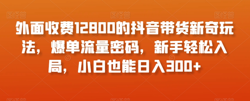 外面收费12800的抖音带货新奇玩法,爆单流量密码,新手轻松入局,小白也能日入300+【揭秘】-第一资源库