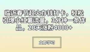 临近春节超火存钱打卡，轻松引爆小红薯流量，3分钟一条作品，20天涨粉4000+【揭秘】-第一资源库
