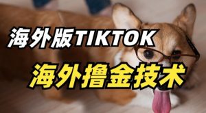抖音海外版tiktok撸金技术,这个风口行业,赚钱真的不难【揭秘】-第一资源库