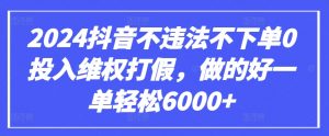 2024抖音不违法不下单0投入维权打假，做的好一单轻松6000+【仅揭秘】-第一资源库