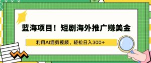 蓝海项目!短剧海外推广赚美金,利用AI混剪视频,轻松日入300+【揭秘】-第一资源库