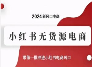 2024新风口电商，小红书无货源电商，带第一批冲进小红书电商风口-第一资源库