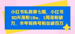 小红书私教第七期,小红书90天涨粉18w,1周涨粉破万,半年矩阵号粉丝破百万-第一资源库