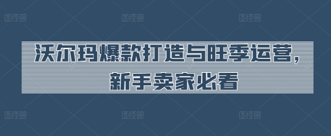 沃尔玛爆款打造与旺季运营,新手卖家必看-第一资源库