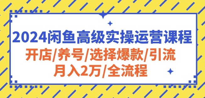 2024闲鱼高级实操运营课程:开店/养号/选择爆款/引流/月入2万/全流程-第一资源库