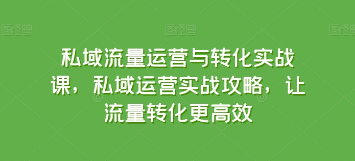 私域流量运营与转化实战课,私域运营实战攻略,让流量转化更高效-第一资源库