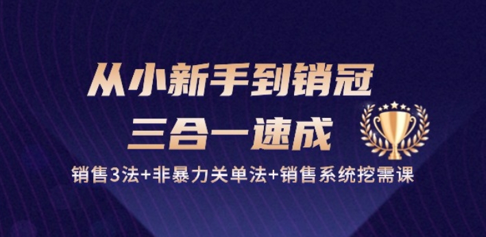 从小新手到销冠 三合一速成:销售3法+非暴力关单法+销售系统挖需课 (27节)-第一资源库