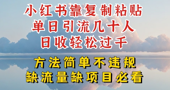 小红书靠复制粘贴单日引流几十人目收轻松过千，方法简单不违规【揭秘】-第一资源库