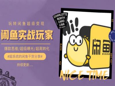 手把手教你0到1系统玩转闲鱼变现,爆款思维/超级曝光/超高转化-第一资源库