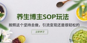 养生博主SOP玩法，按照这个坚持去做，引流变现还是很轻松的-第一资源库