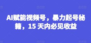 AI赋能视频号，暴力起号秘籍，15 天内必见收益【揭秘】-第一资源库