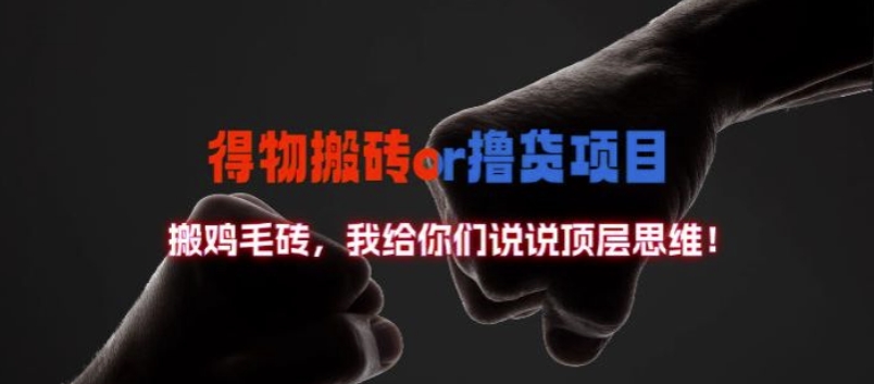 得物搬砖撸货项目?掰下数据,我给你们说说顶层思维【揭秘】-第一资源库