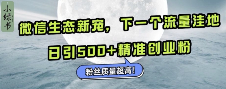 微信生态新宠小绿书:下一个流量洼地,日引500+精准创业粉,粉丝质量超高-第一资源库