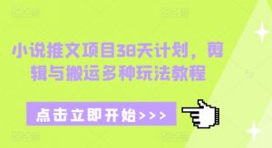 小说推文项目38天计划，剪辑与搬运多种玩法教程-第一资源库