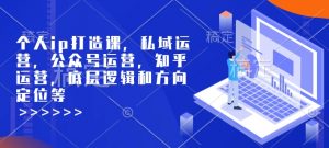 个人ip打造课，私域运营，公众号运营，知乎运营，底层逻辑和方向定位等-第一资源库