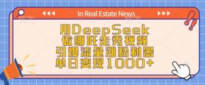 用DeepSeek做哪吒走秀视频，引爆流量涨粉利器，单日变现1k-第一资源库