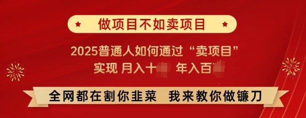 必看，做项目不如卖项目，2025普通人如何通过“卖项目”实现月入十个，年入百个-第一资源库